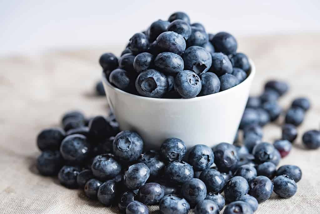 Blueberries - Best Anti-Aging Foods